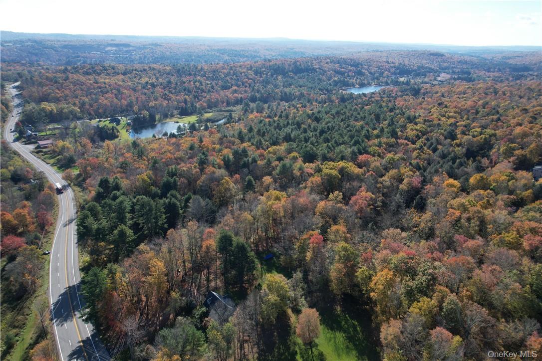 1195 NYS Route 17B, Mongaup Valley, NY 12762