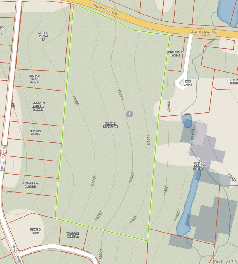 1195 NYS Route 17B, Mongaup Valley, NY 12762