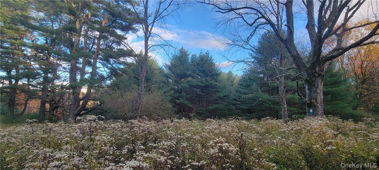 1195 NYS Route 17B, Mongaup Valley, NY 12762