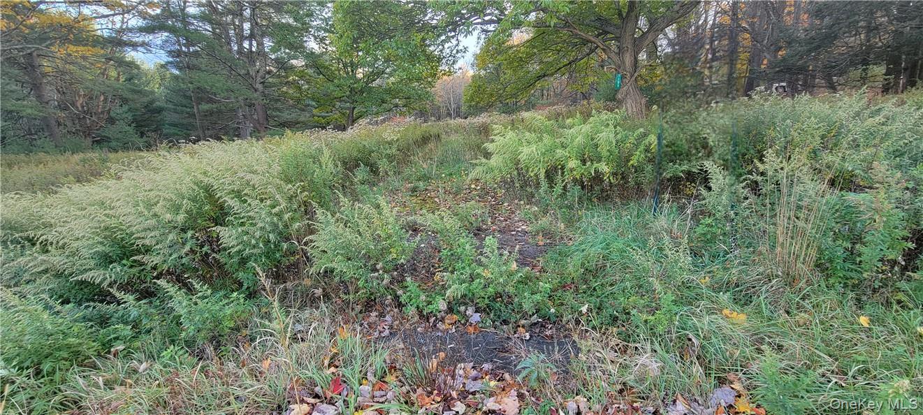 1195 NYS Route 17B, Mongaup Valley, NY 12762