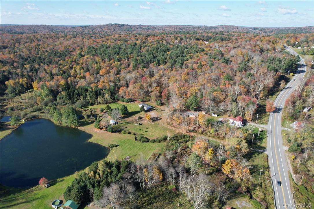 1195 NYS Route 17B, Mongaup Valley, NY 12762