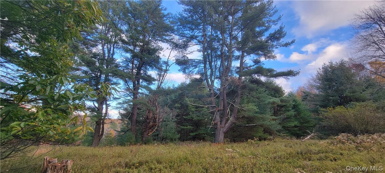 1195 NYS Route 17B, Mongaup Valley, NY 12762