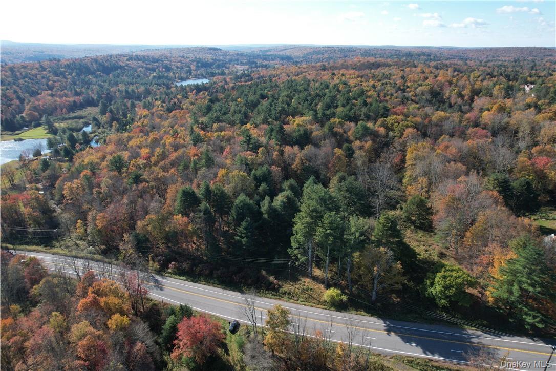 1195 NYS Route 17B, Mongaup Valley, NY 12762