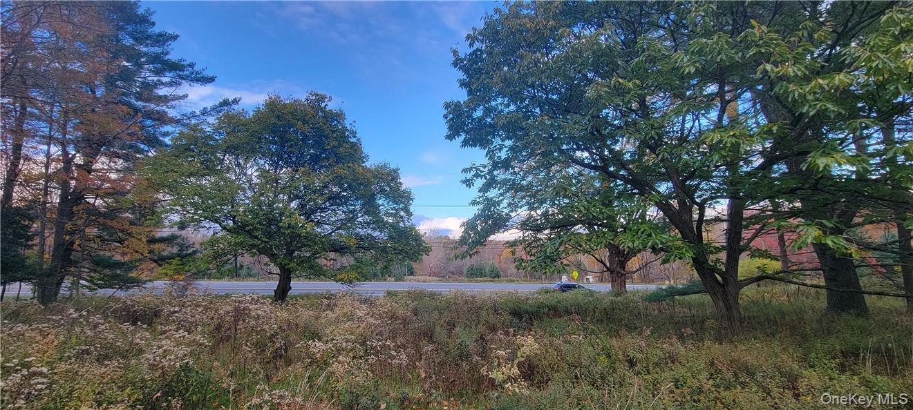 1195 NYS Route 17B, Mongaup Valley, NY 12762