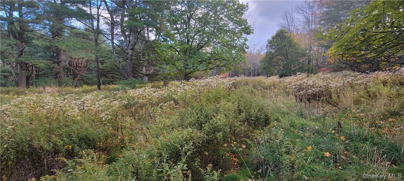 1195 NYS Route 17B, Mongaup Valley, NY 12762