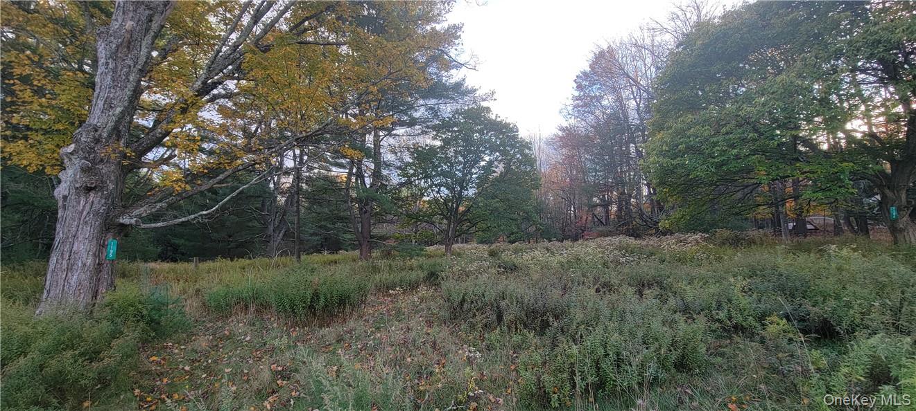 1195 NYS Route 17B, Mongaup Valley, NY 12762