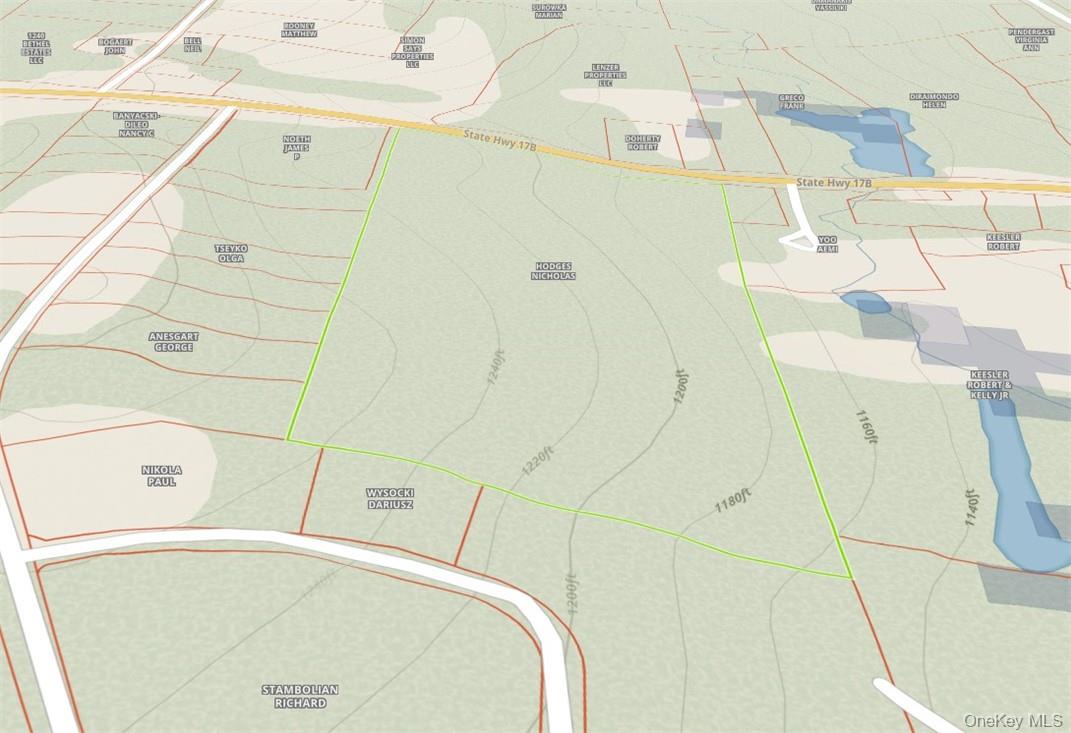 1195 NYS Route 17B, Mongaup Valley, NY 12762