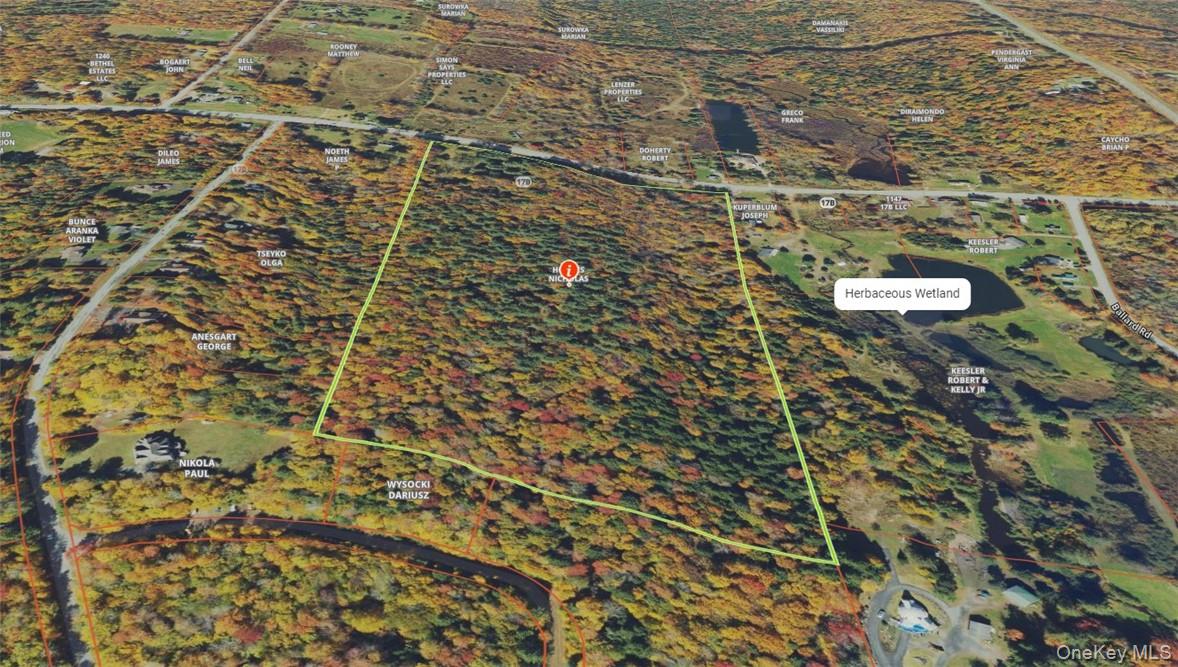 1195 NYS Route 17B, Mongaup Valley, NY 12762