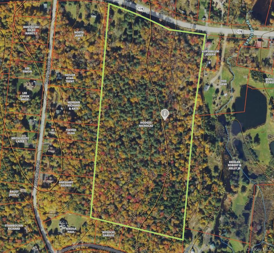 1195 NYS Route 17B, Mongaup Valley, NY 12762