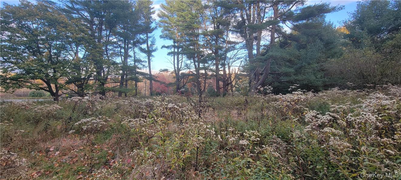 1195 NYS Route 17B, Mongaup Valley, NY 12762