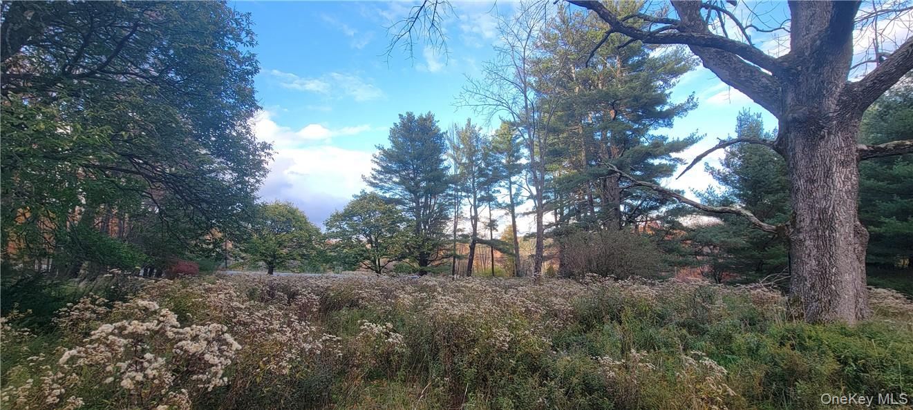 1195 NYS Route 17B, Mongaup Valley, NY 12762