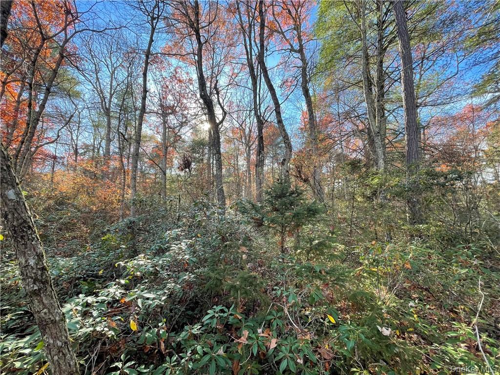 Lot 84 Forestburgh Road, Glen Spey, NY 12737