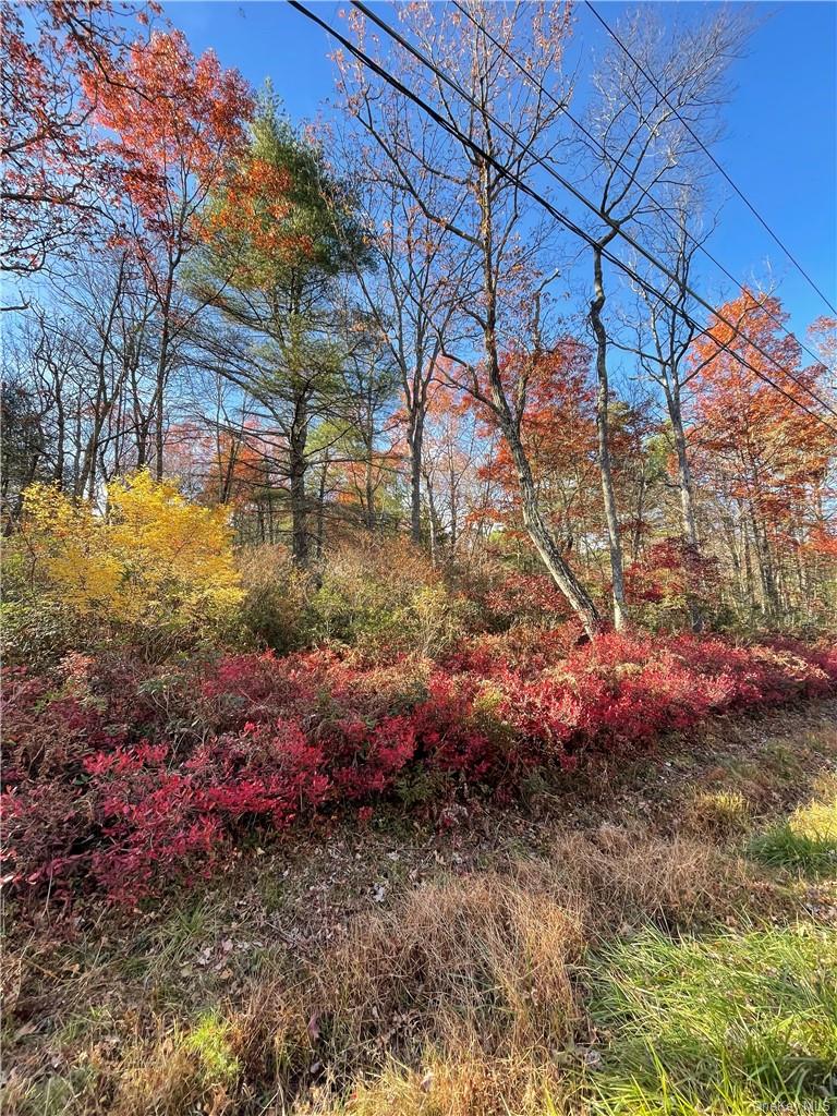 Lot 84 Forestburgh Road, Glen Spey, NY 12737