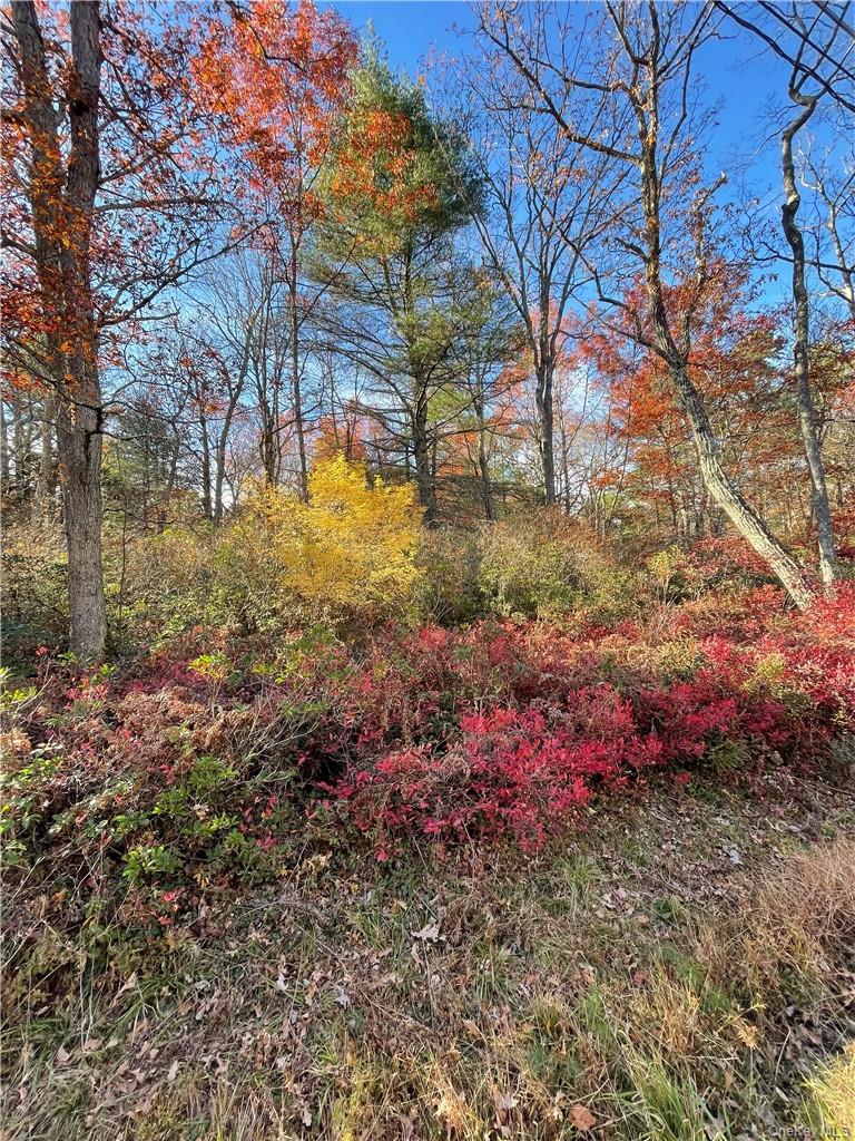 Lot 84 Forestburgh Road, Glen Spey, NY 12737
