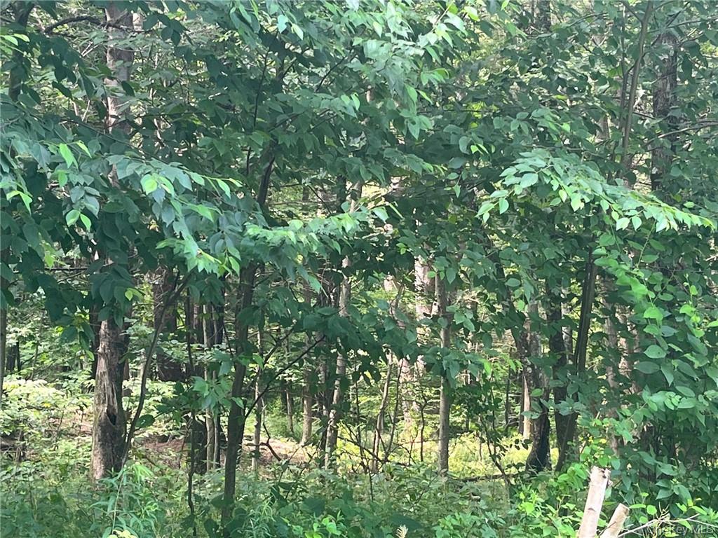 Mount Ross, Pine Plains, NY 12567