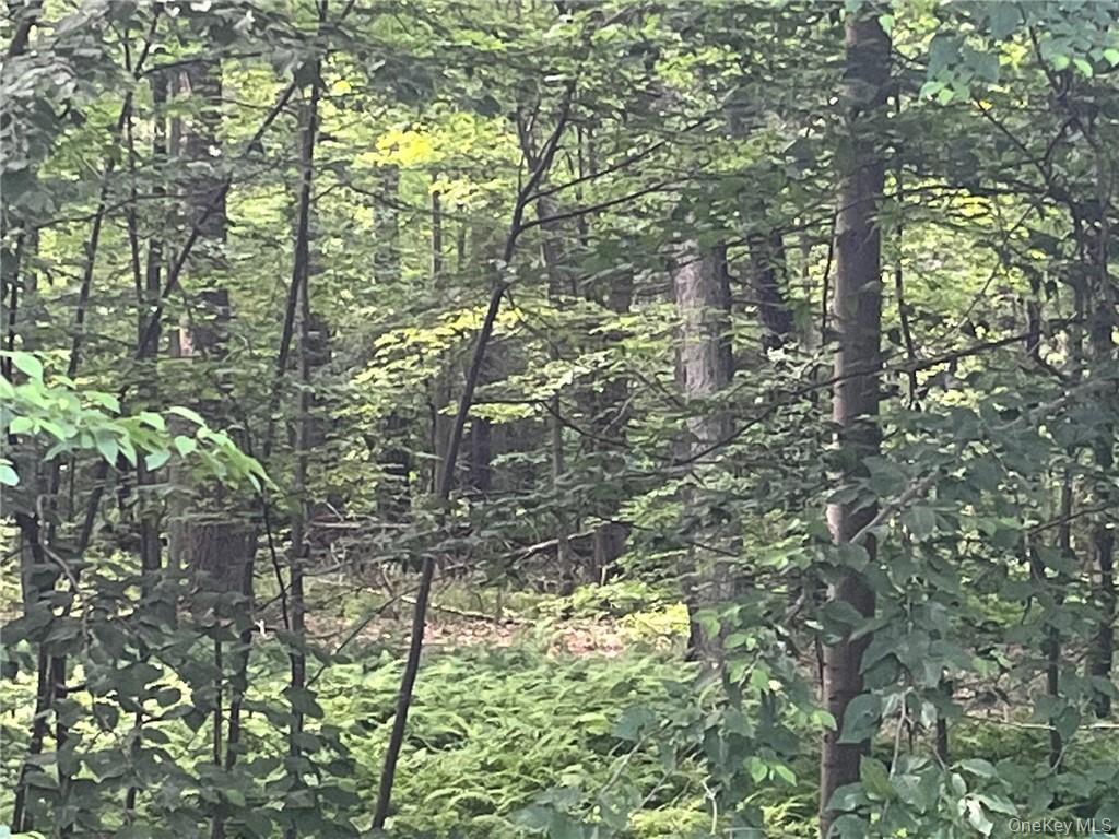 Mount Ross, Pine Plains, NY 12567