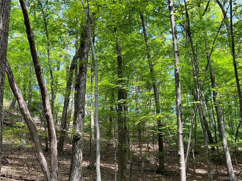 Mount Ross, Pine Plains, NY 12567