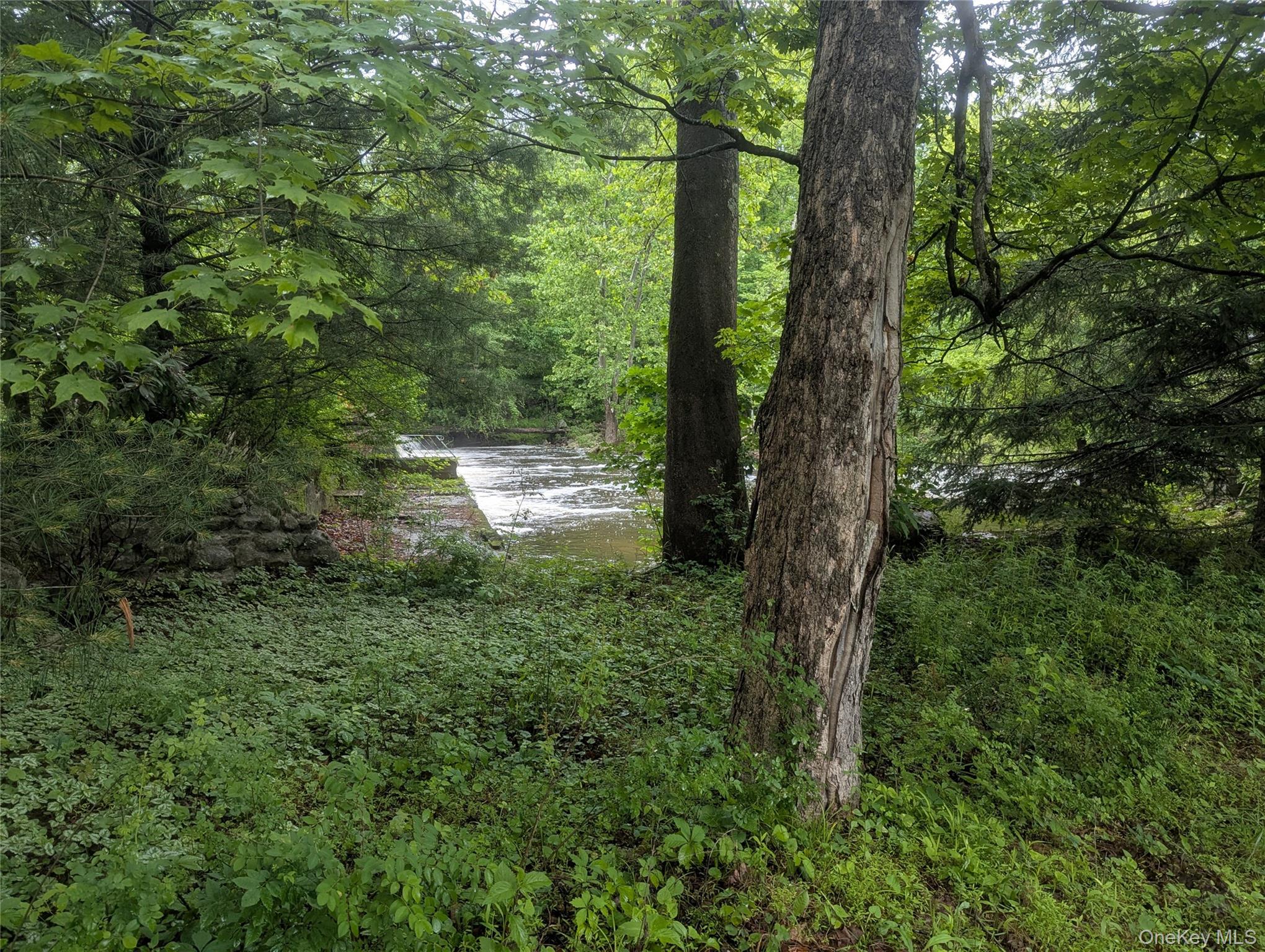 6 Crawford Street, Pine Bush, NY 12566