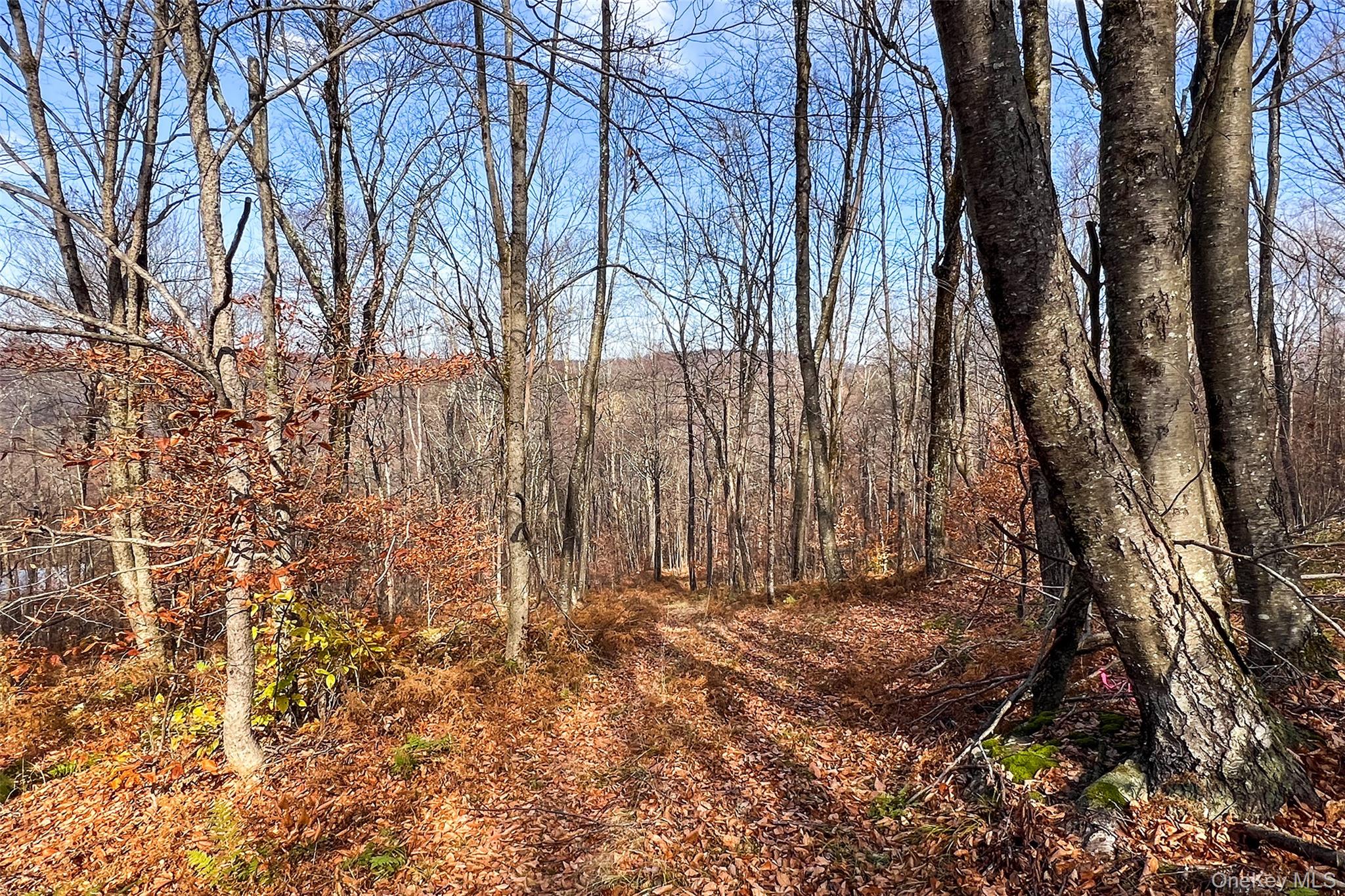 464 Curtis Lane, Hamden, NY 13782