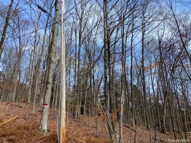 Glenwild Drive, Smallwood, NY 12778