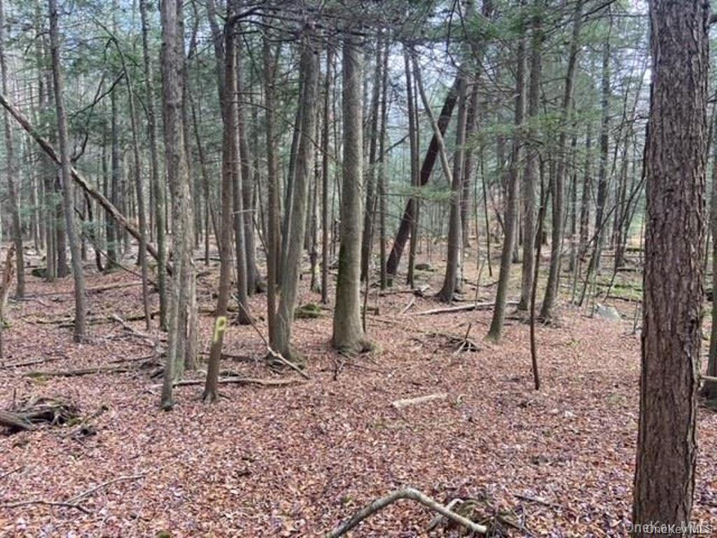 Glenwild Drive, Smallwood, NY 12778