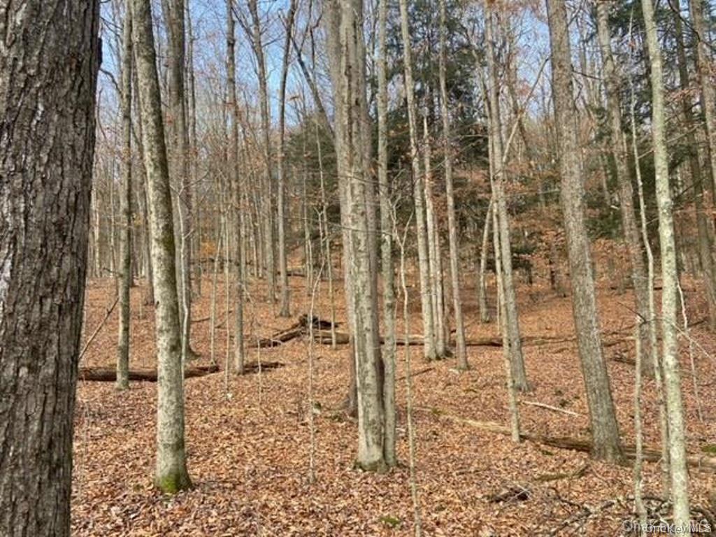 Glenwild Drive, Smallwood, NY 12778