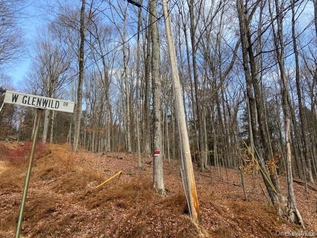 Glenwild Drive, Smallwood, NY 12778