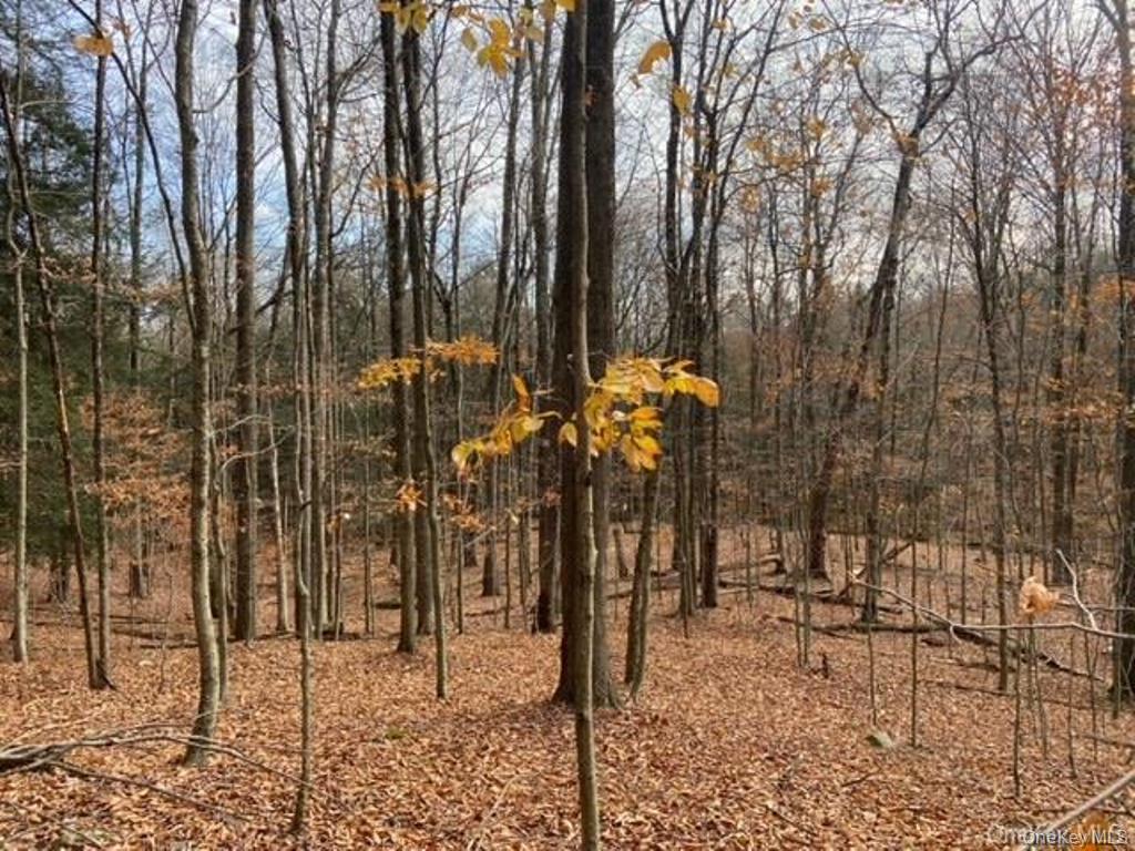 Glenwild Drive, Smallwood, NY 12778