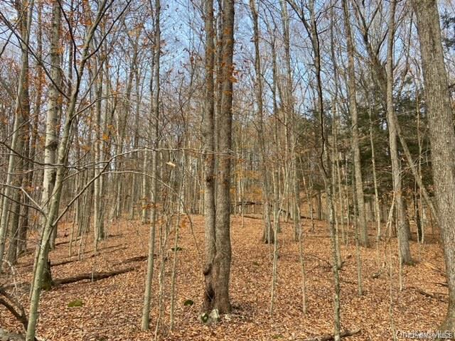 Glenwild Drive, Smallwood, NY 12778