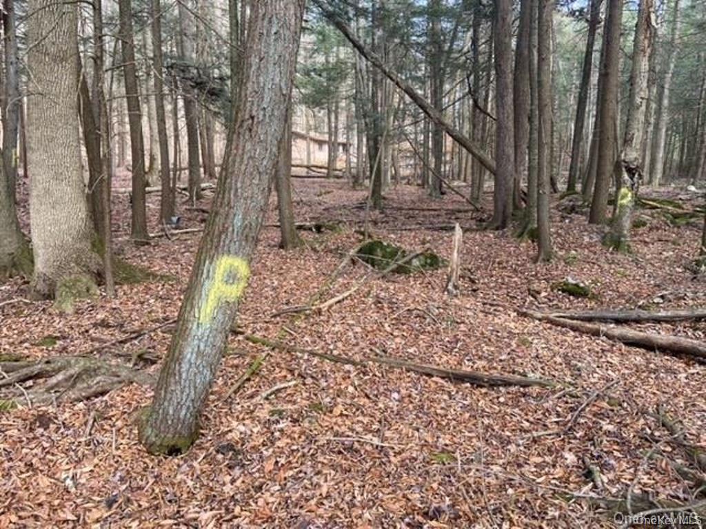 Glenwild Drive, Smallwood, NY 12778