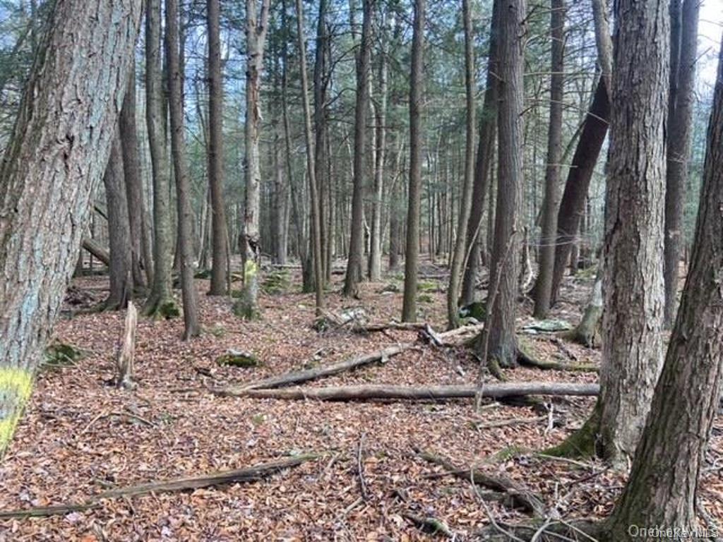 Glenwild Drive, Smallwood, NY 12778