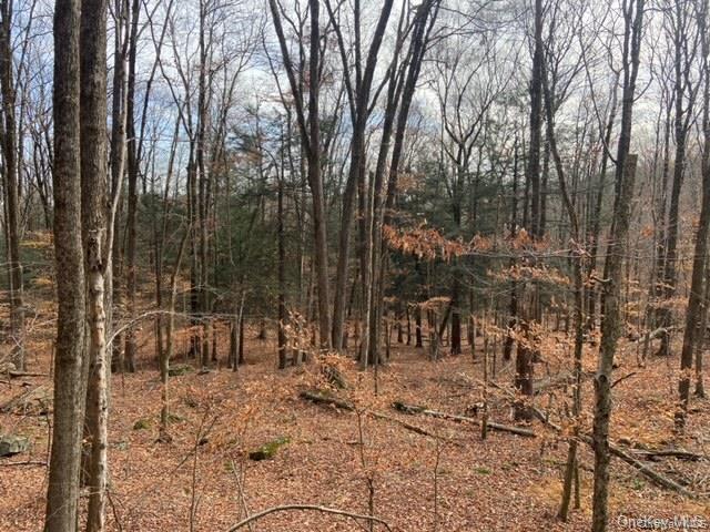 Glenwild Drive, Smallwood, NY 12778