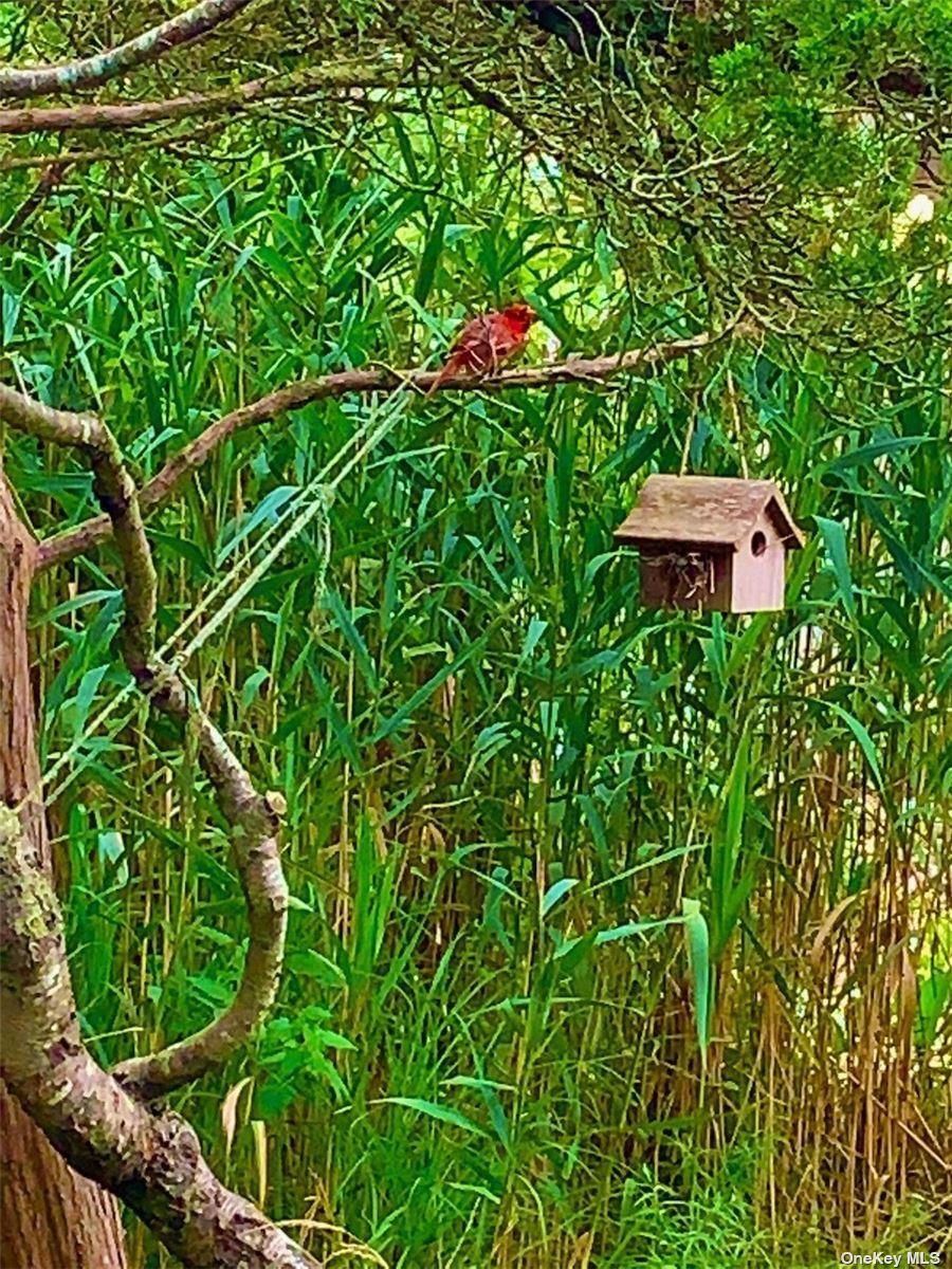 30 Gale Walk, Seaview, NY 11770