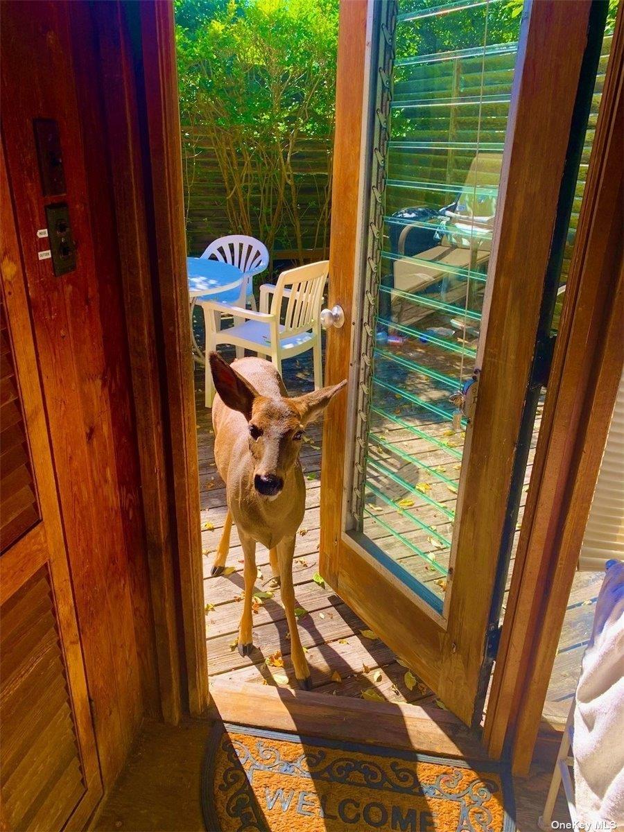 30 Gale Walk, Seaview, NY 11770