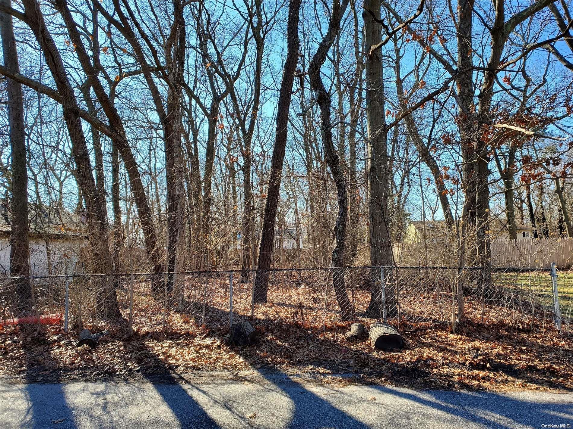 0 Jeanatta Avenue, Mastic, NY 11950