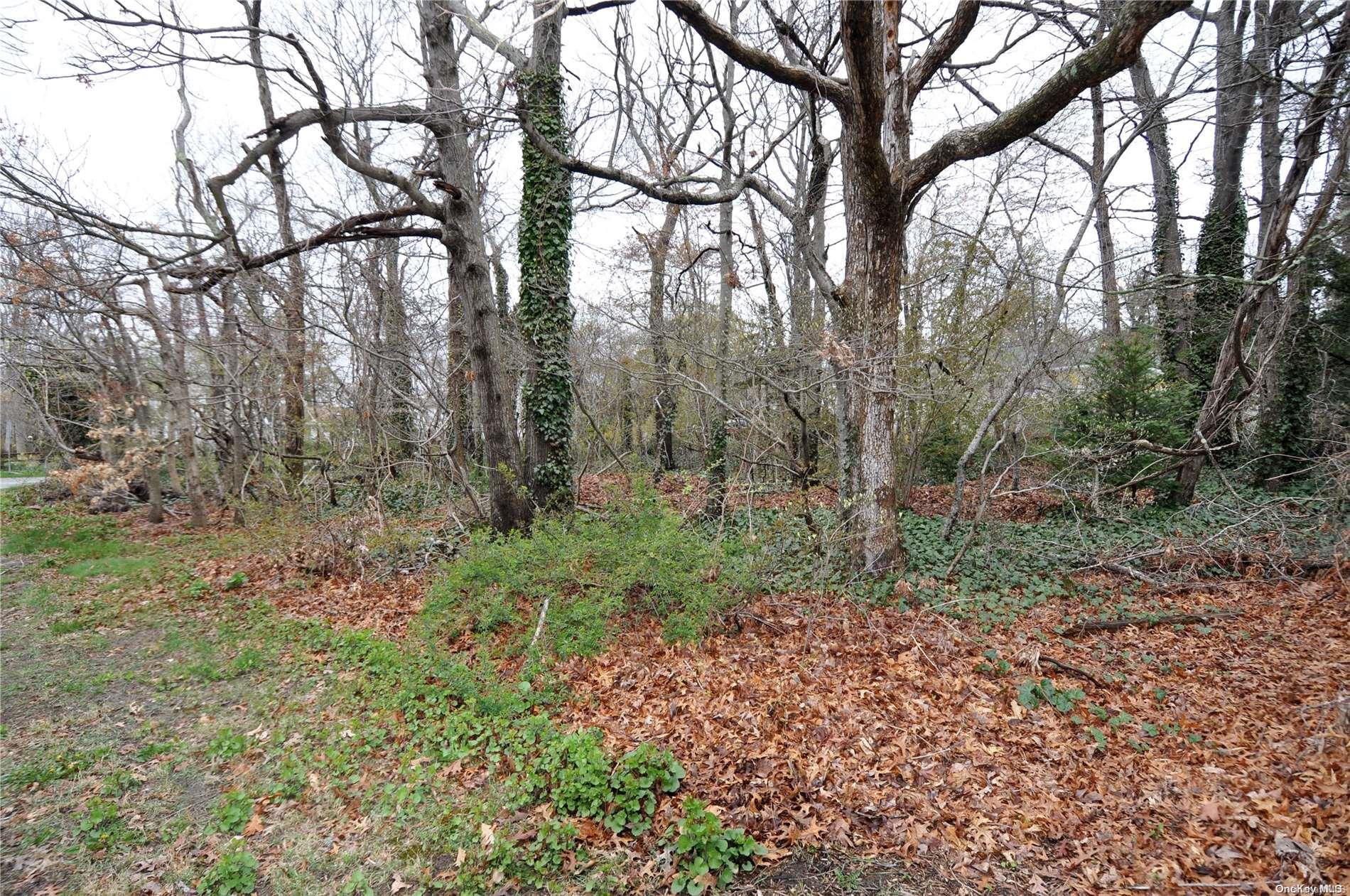 adj #239 Peconic Avenue, Medford, NY 11763