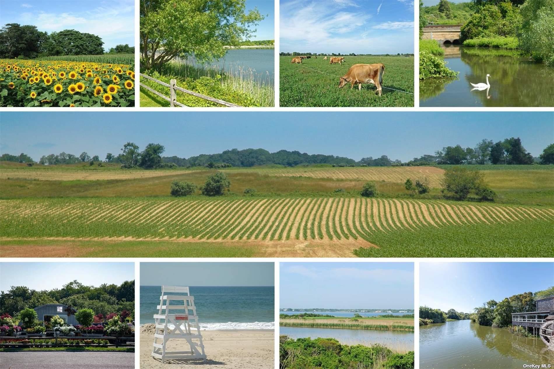 4 Hickory Lane # 11B, Water Mill, NY 11976