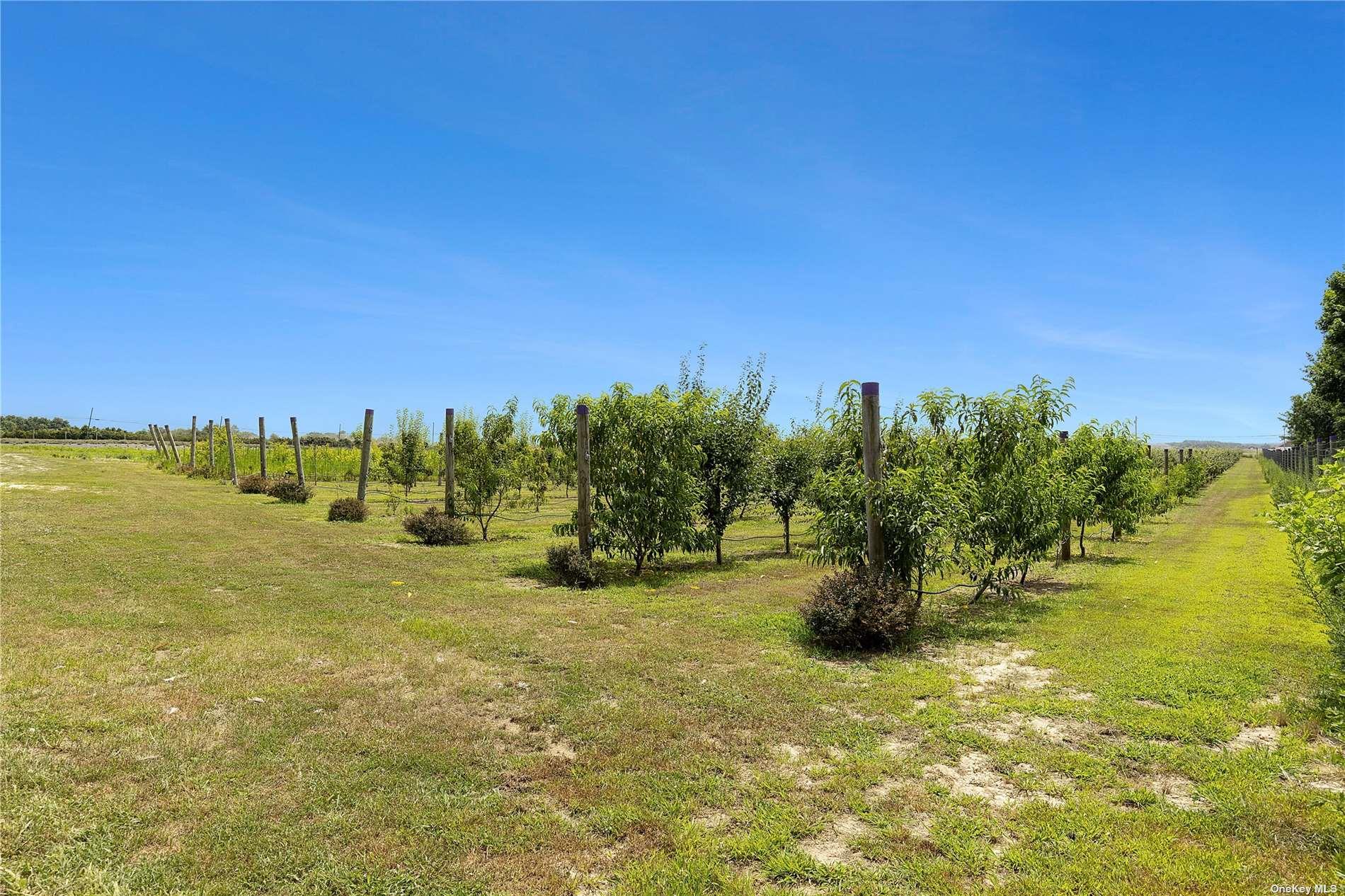 3360 Sound Ave, Riverhead, NY 11901