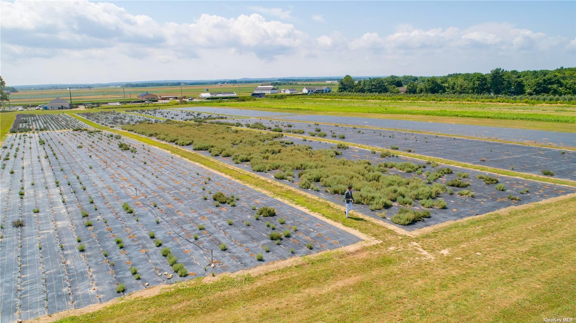 3360 Sound Ave, Riverhead, NY 11901