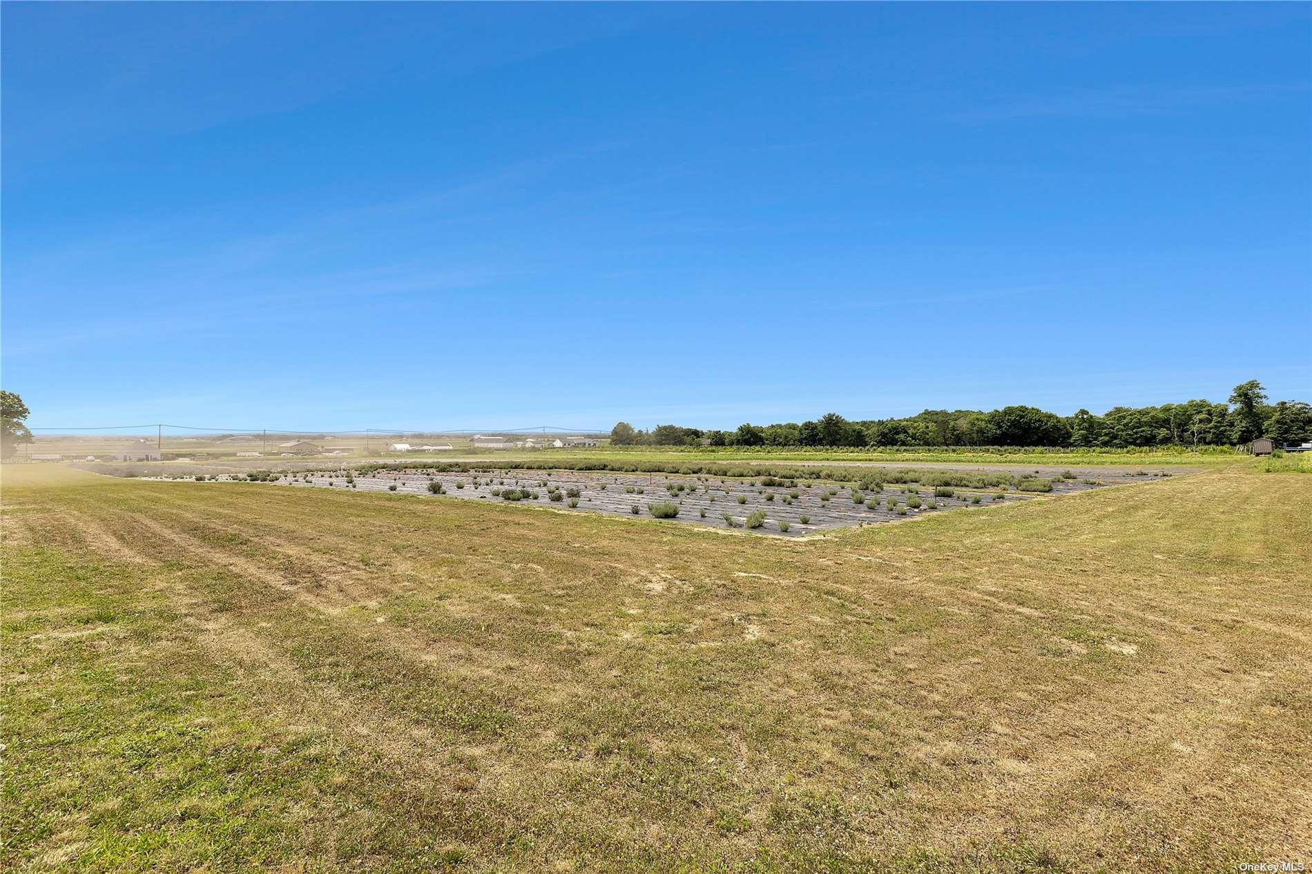 3360 Sound Ave, Riverhead, NY 11901