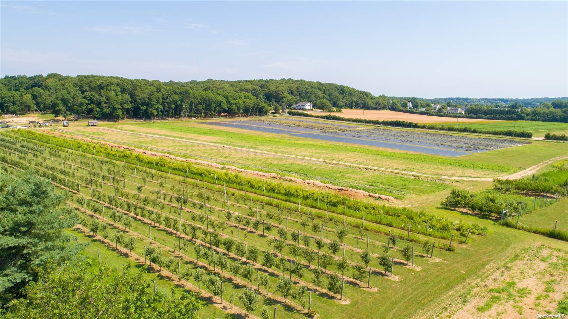 3360 Sound Ave, Riverhead, NY 11901