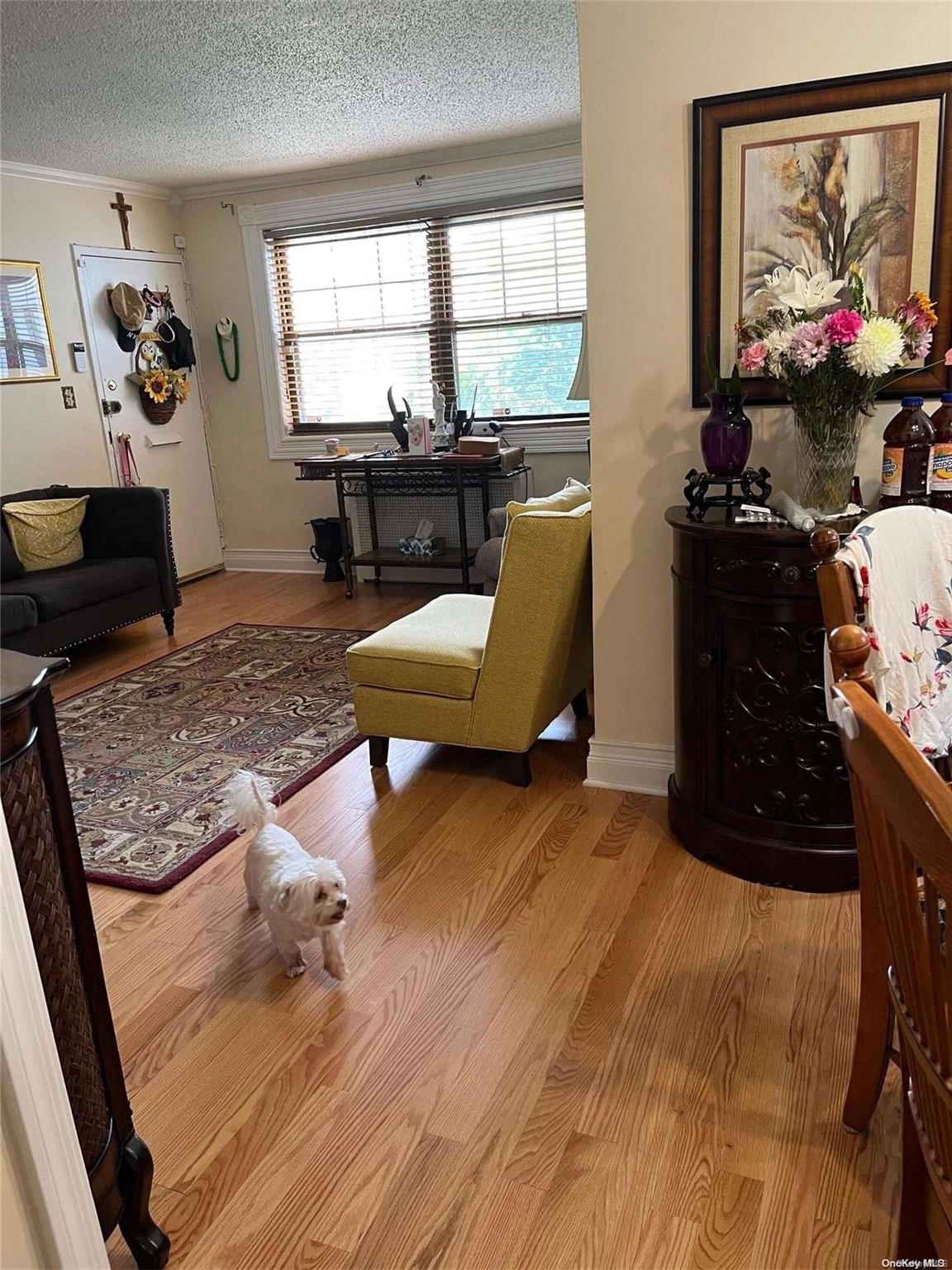 13633 Jewel Avenue # A, Flushing, NY 11367