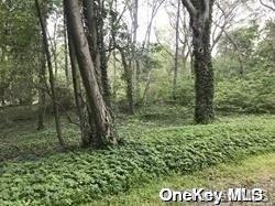 47 Laurel Lane, Locust Valley, NY 11560