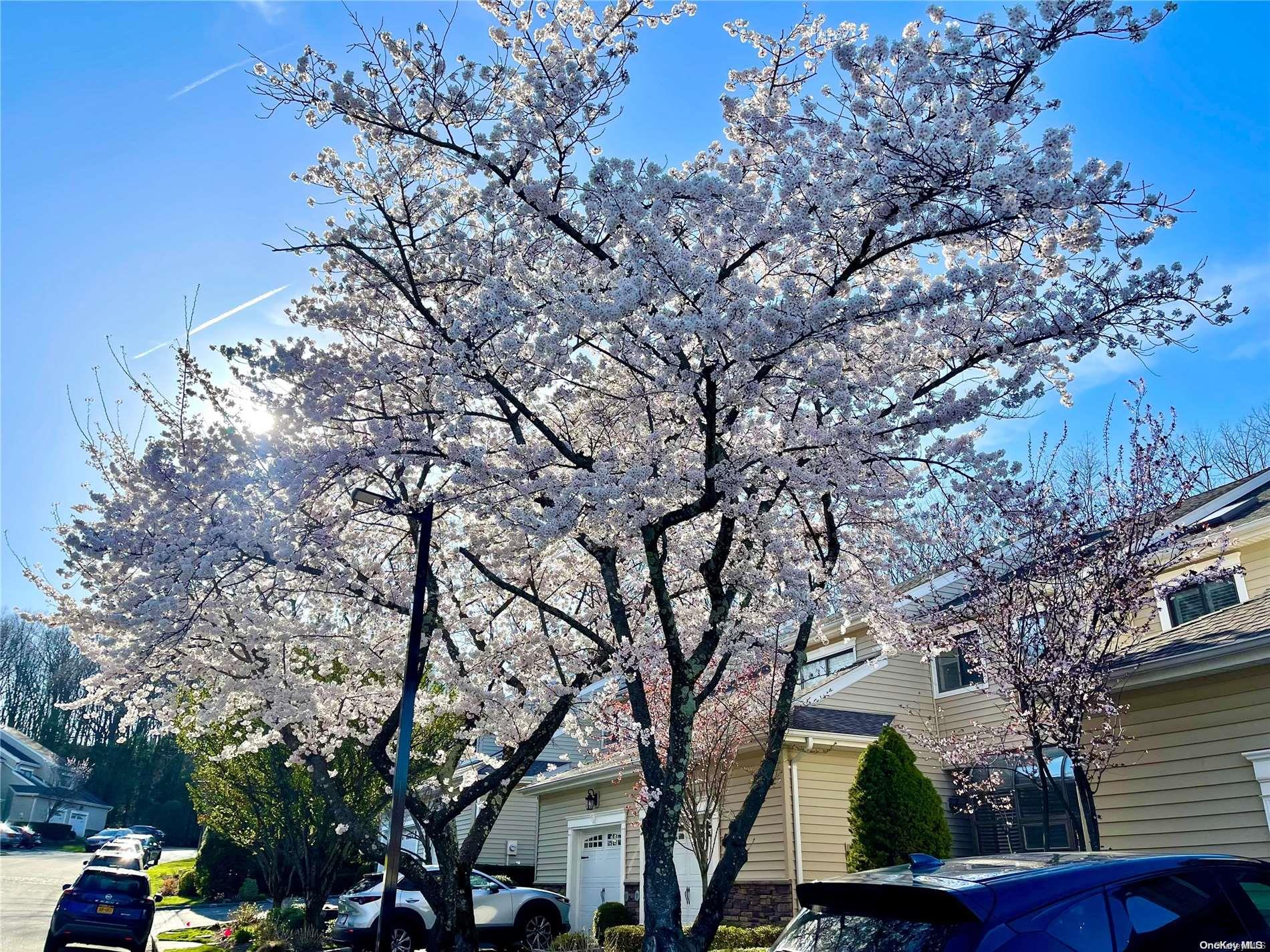 54 Villas Circle # 54, Melville, NY 11747