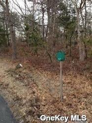 Middle Country Road, Middle Island, NY 11953