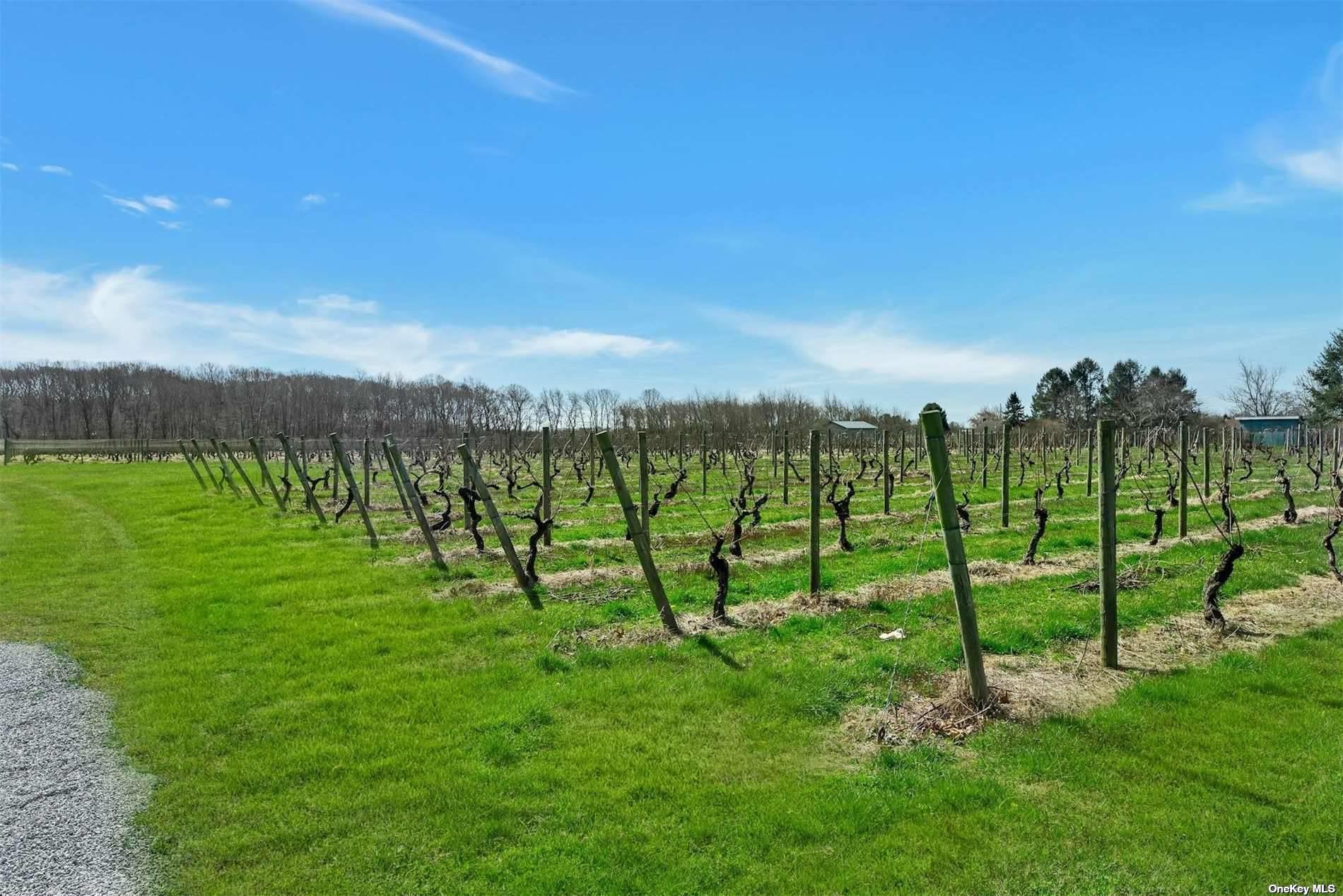 18910 Middle Road, Cutchogue, NY 11935