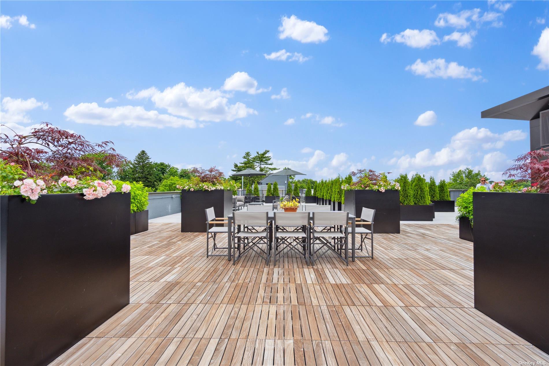 218 Middle Neck Road # 203, Great Neck, NY 11021