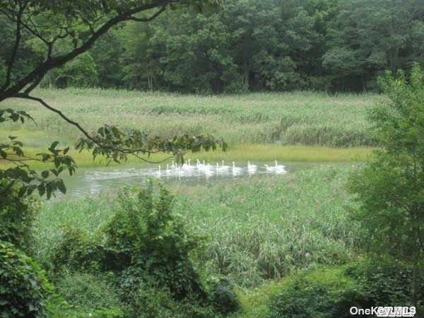 15 Old Field Road, Setauket, NY 11733