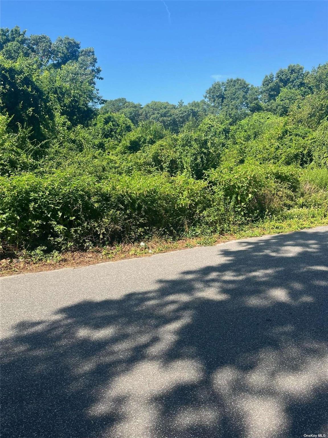 22 Holly Lane, Shirley, NY 11967