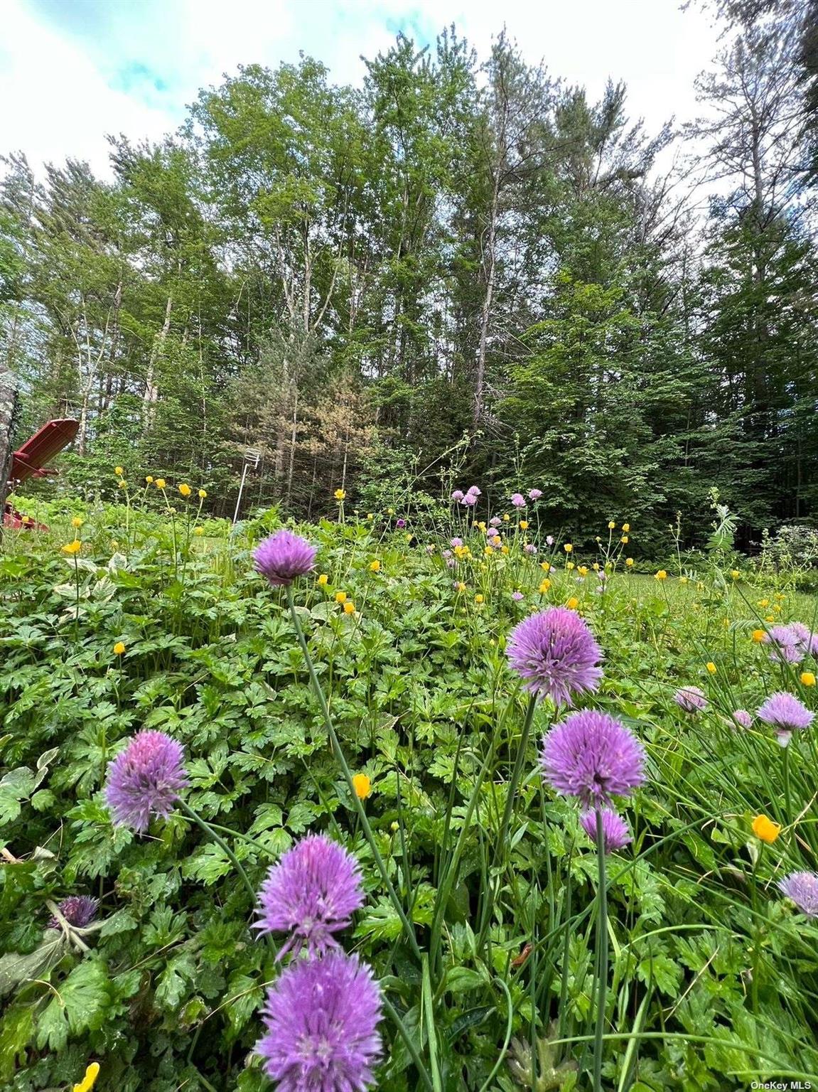 9 Pinekill Ln, Windham, NY 12496